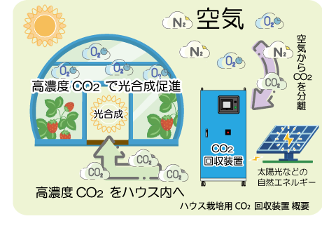 二酸化炭素回収フロー